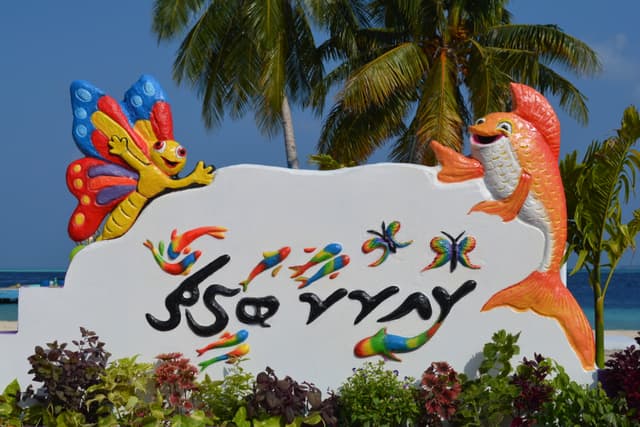 ވީޑިއޯ: ފީއަލީ 'ކޮއި ކޮކާ ބަގީޗާ' ވަރަށް ތަފާތު!