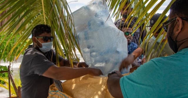 ފޮޓޯ: ކަނޑުތަކާއި ފަރުތަކަށް ޕްލާސްޓިކް ކުނި އެޅުން ހުއްޓާލަމާ