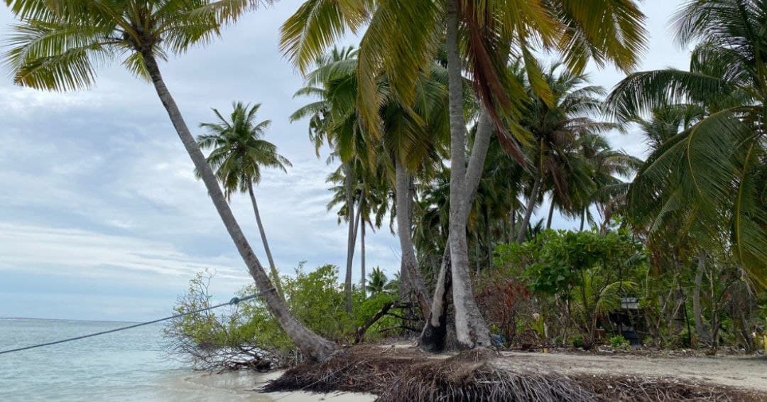 ދަނޑުވެރިކަން ކުރުމަށާއި ޕިކްނިކް ދިއުމަށް ޚާއްސަ އެކެލޮންޑާ!