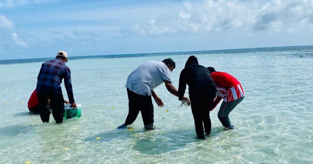 އާއިލީ ލޯބި ނެތިގެންދިއުން ވިސްނާލަންޖެހޭ މުހިންމުކަމެއް!