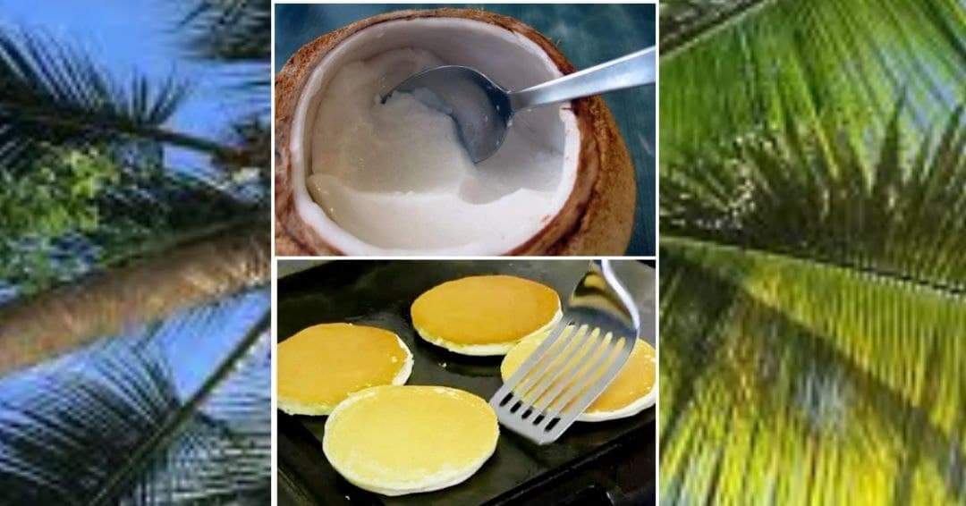 ބޯފޮޅި ދުވަހުގެ ތާރީޚާއި ބޯފޮޅި ފިހާގޮތް