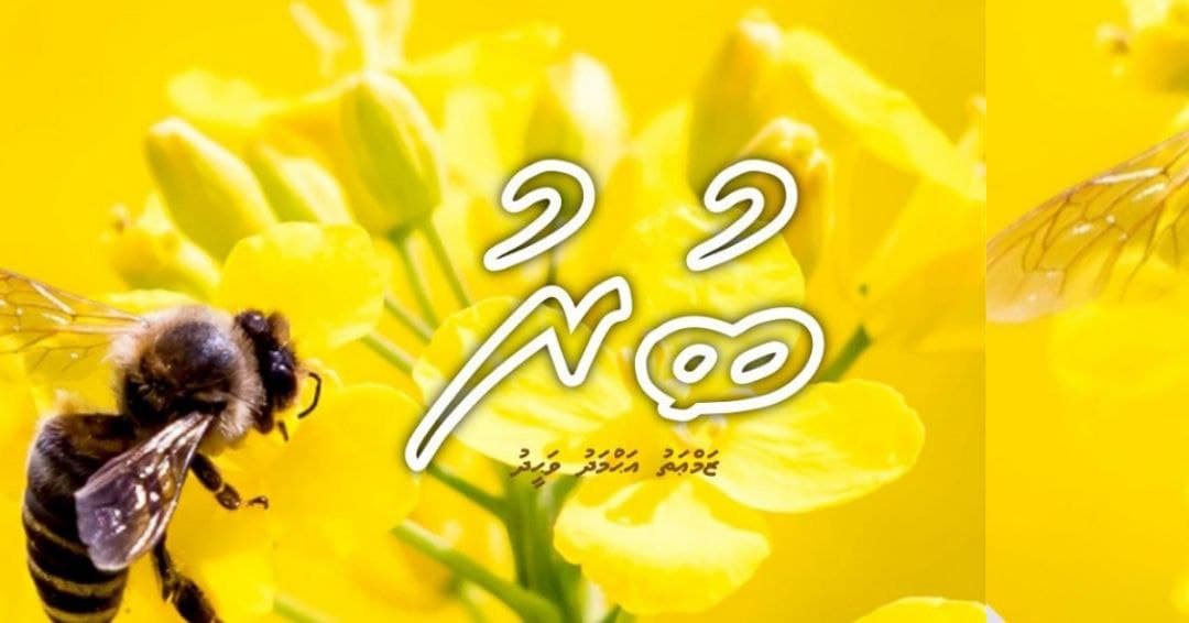 ކުރުވާހަކަ: ބުރު