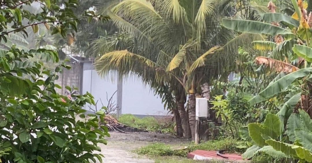 ވިއްސާރަ މޫސުމުގަ ފެތުރޭ ރޯގާތަކުން ސަލާމަތްވަމާ!