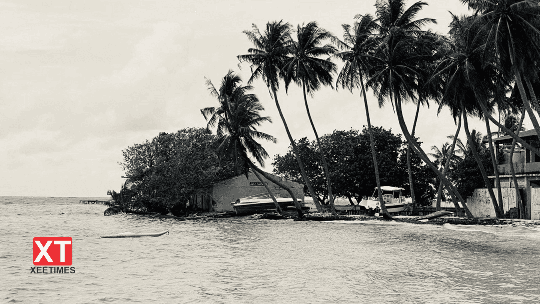 އެވޭލާ ވާހަކަ: ކަރުނައިގެ އަގު