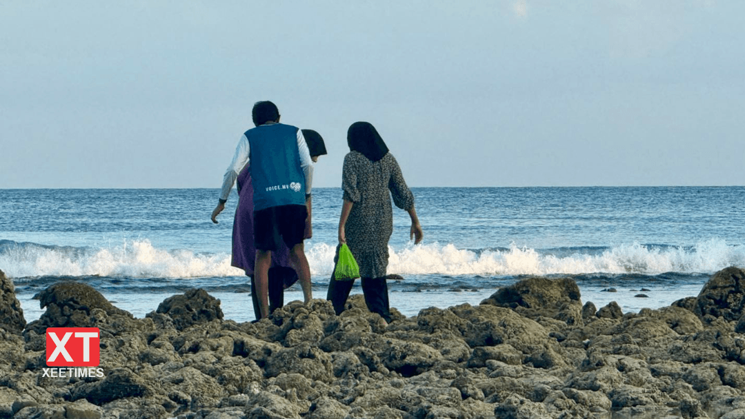 ފޮޓޯ: ހުޅުމާލެ ފަރުމަތިން ފޯރީގައި މި ނަގަނީ ކޯއްޗެއް؟