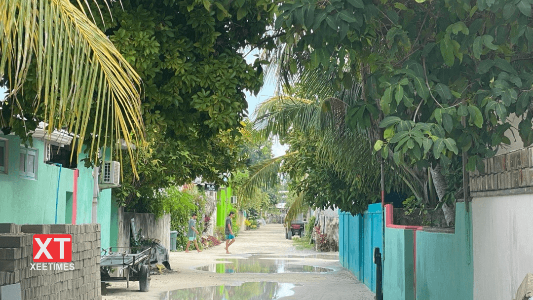 މާޒީގެ ހަނދާންތަކާއި ޒަމާނީ ދިރިއުޅުމުގެ ހަޤީޤަތް