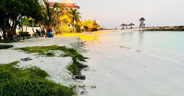 ރަސްފަންނު ގިރާތީ މޫދަށް އެރޭ މީހުންގެ ކަންބޮޑުވުން!