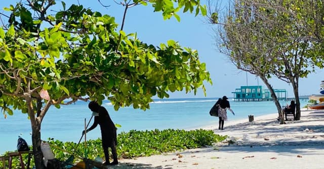 ވީޑިއޯ: ހުޅުމާލެ ސާފުކޮށް ބޭއްވުމަށް އެންމެން އެއްބާރުލުންދެމާ!