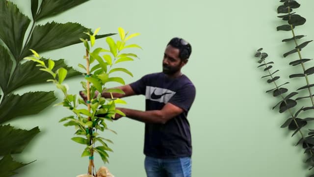 ޒުވާން ދަނޑުވެރިޔާ ދިވެހި ދަނޑުވެރިކަމުގެ ވައްޓަފާޅި ބަދަލުކޮށްފި!