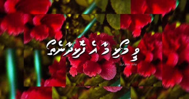 ކުރުވާހަކަ: ވީ މޯޅި މާ އެ ފޮޅިދާނެތޯ؟