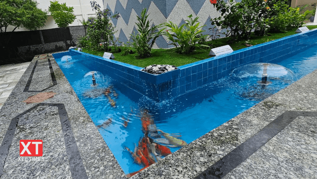 ފޮޓޯ: އިސްލާމީ މަރުކަޒު މުންނާރު ތިރީގައި ހަދާފައިވާ މަސްފެންގަނޑު