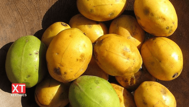 އަނބުޅަ: ރަހަމީރު ފައިދާހުރި މޭވާއެއް