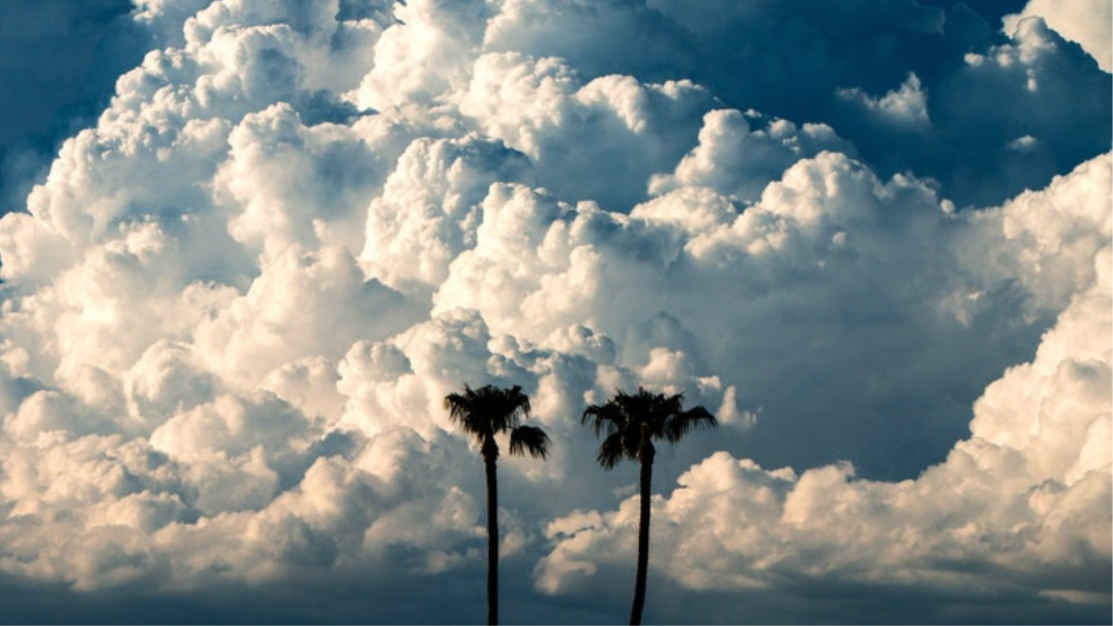 Wind cloud. Windy Sky. Ramona Cumulus. Windy clouds Sky. Cumulus Osman.